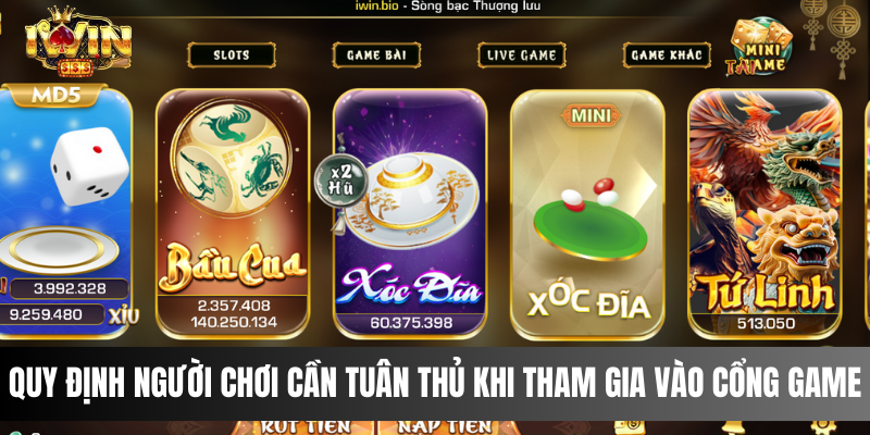 Quy định người chơi cần tuân thủ khi tham gia vào cổng game